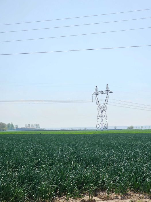 Сауна, Табиатда Дача аренда, Тойтепа (Нурафшон), Ташкент вил.