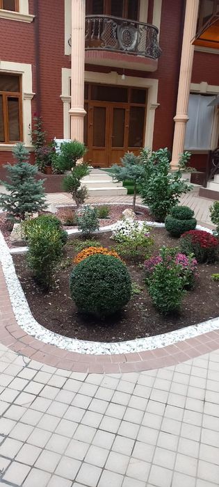 Gazon qilamiz (Газон)