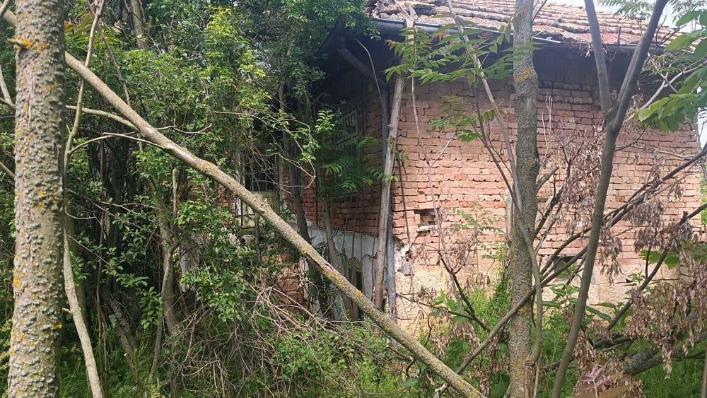 Продавам 2 къщи в село Костанденец, област Разград