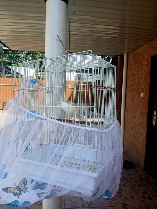 Кенор Кенор Кенор