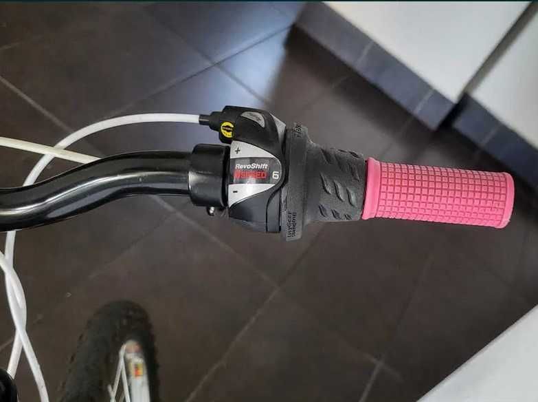 Bicicleta X-FACT PRINCESS 20'' 6-10 ani