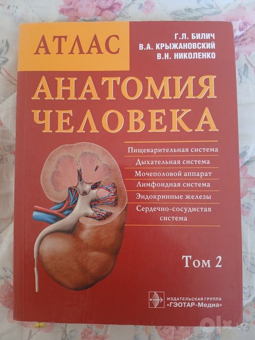 Анатомия Человека Атлас Том 2 Сотилади
