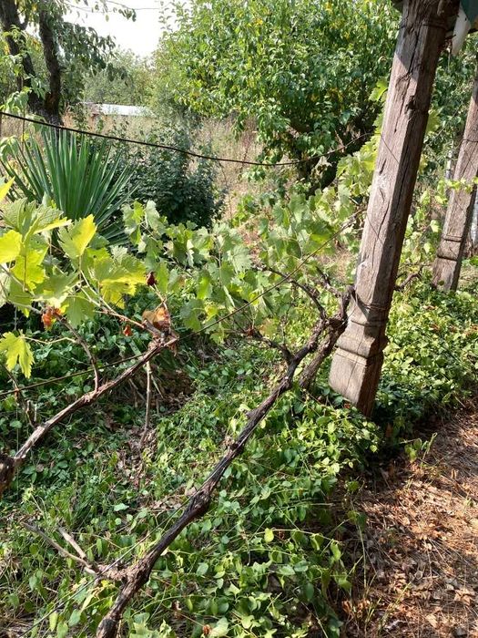 Продава се Къща в с. Писарово, Област Добрич - 45 кв.м за 136 €/кв.м - Снимка #11