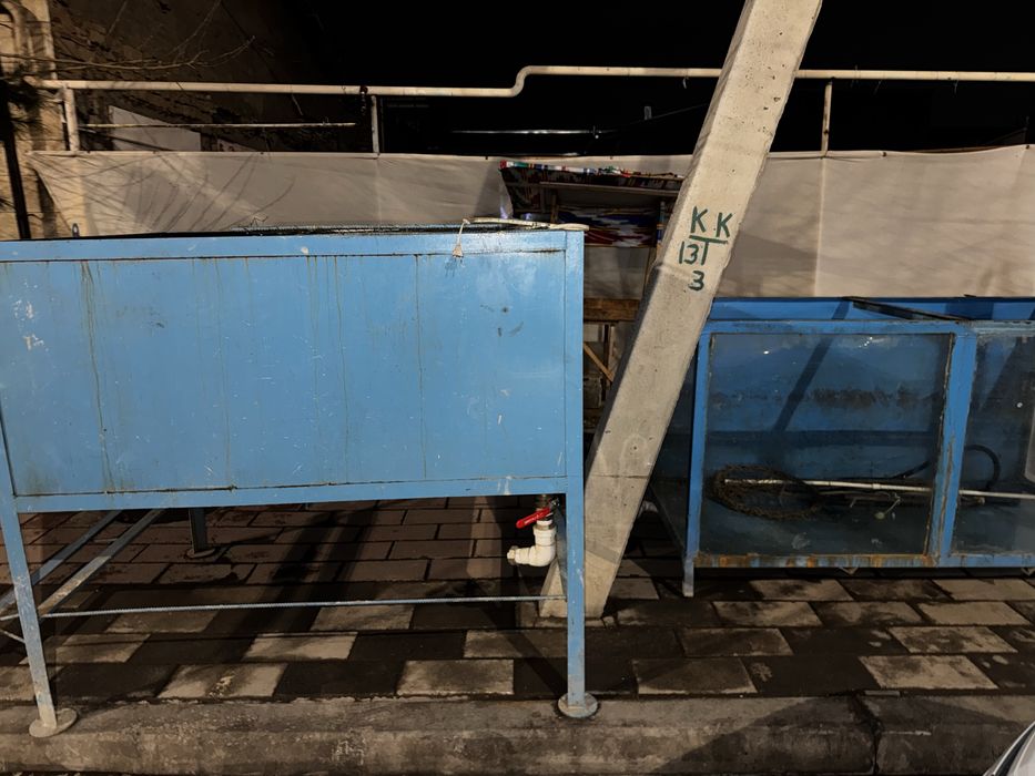 Akvarium baliqlar uchun