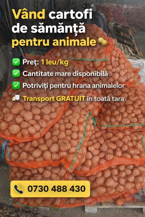 Cartrtofii de samanta pentru animale