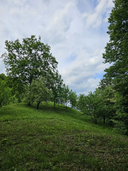 Casă de vacanță cu teren 4000 mp -  Provita de Sus