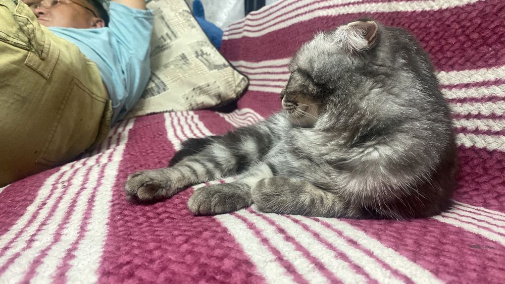 Продается  диван