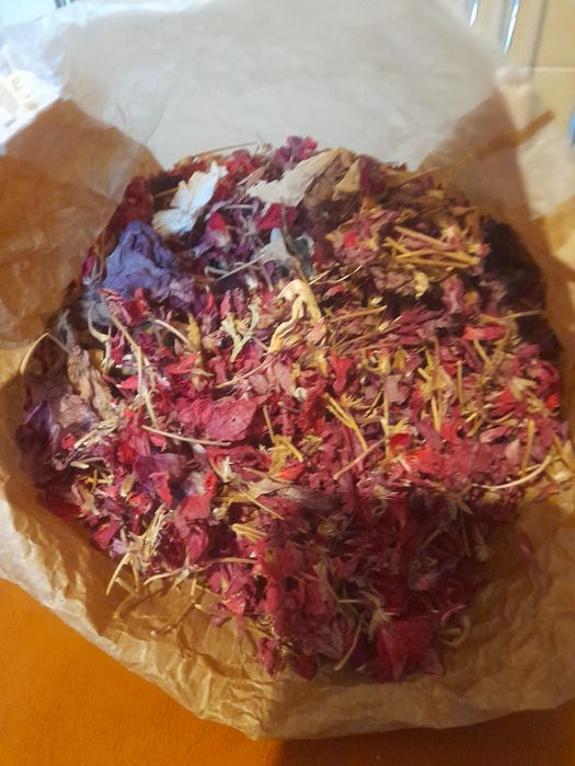 Petale flori naturale uscate