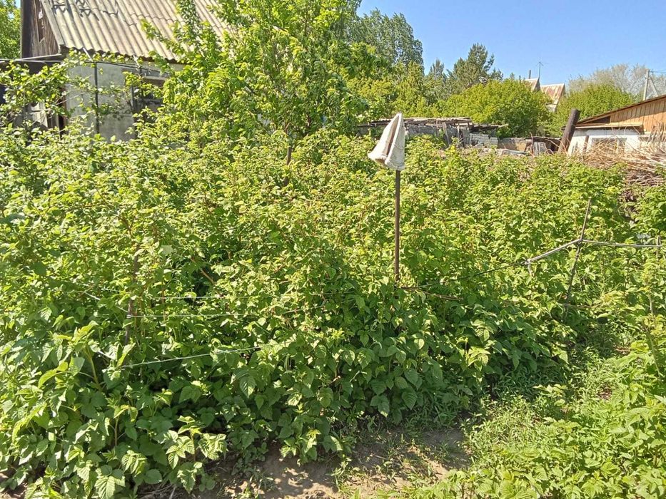 Продам дачу в садоводстве "Южный"