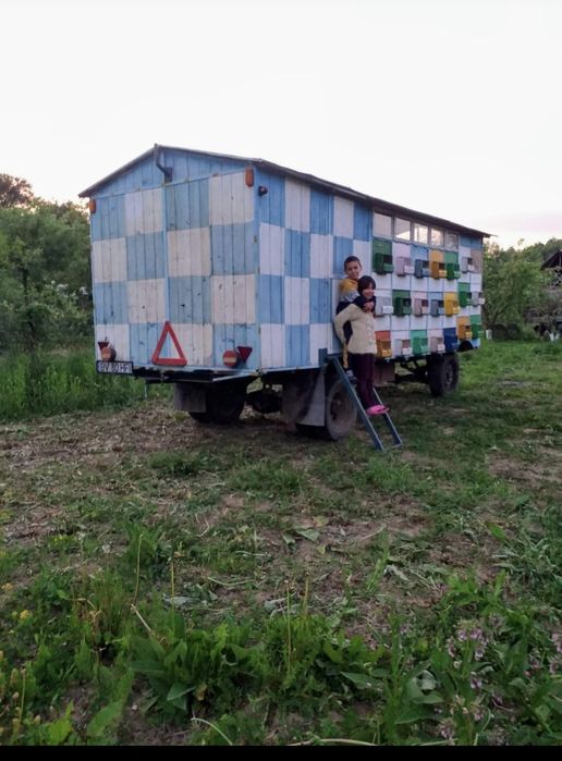 Pavilion vagon apicol 1000€