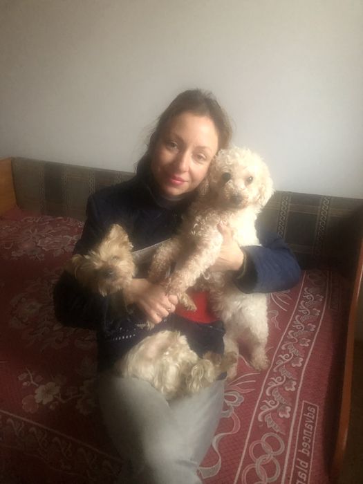 Pet sitter / cazare animalute