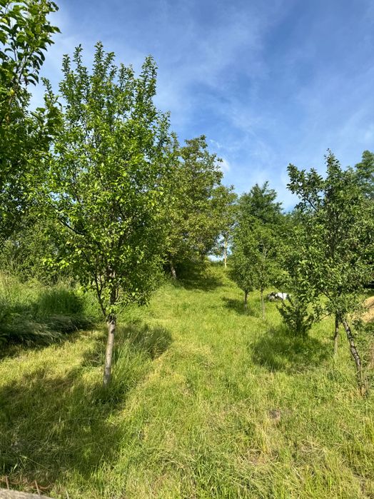 Casă de vânzare în Dedrad ,jud.Mures