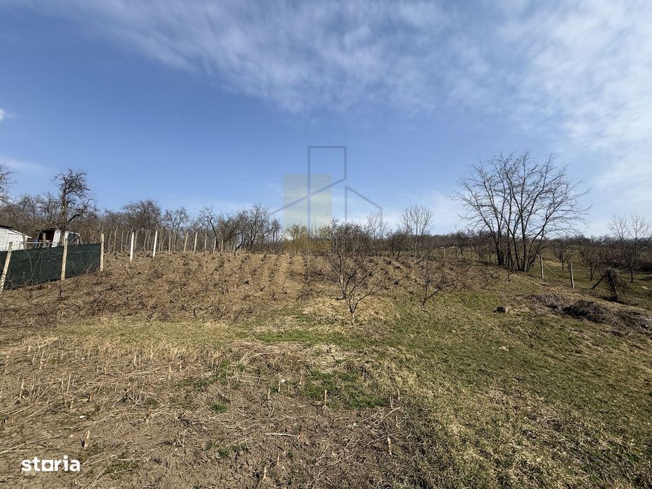 Casa batraneasca + Teren 1191 mp | Dobrovat (Iasi) | Liniste si natura