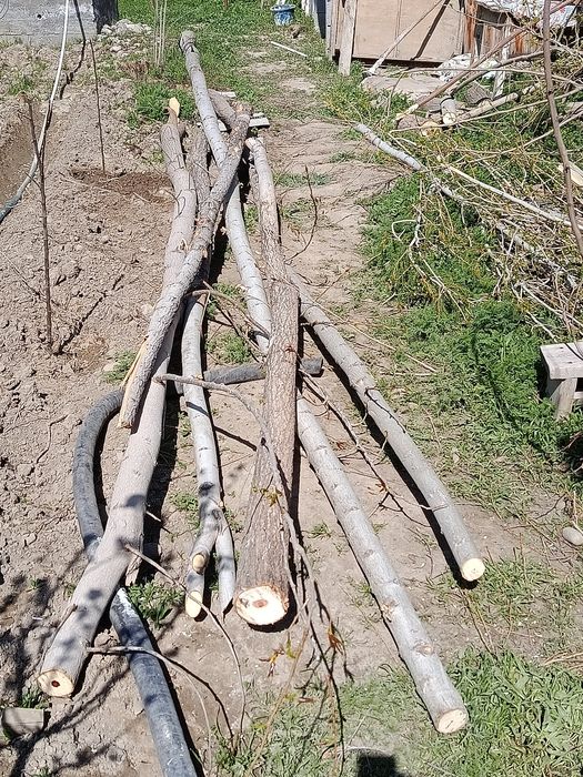 Тераклар сотилади