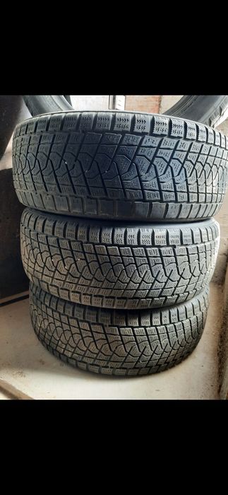 Зимние шины triangle