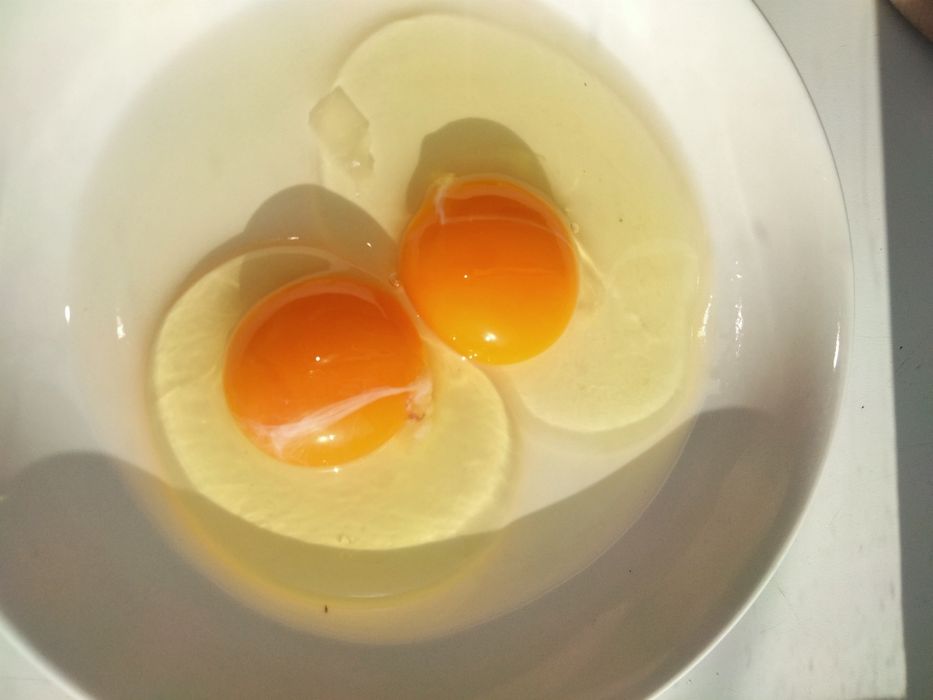 Яйцо домашнее. Колдын жумырткасы