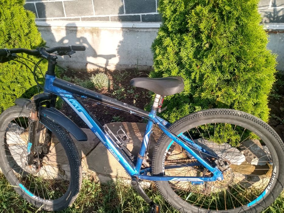 Bicicleta carpat albastra