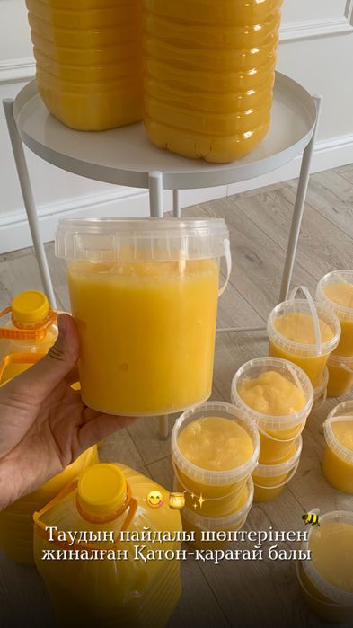 Қатон қарағай балы мед Катон Карагай