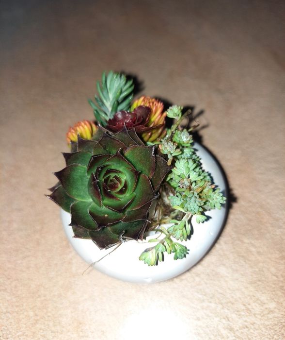 10 Vase decorative de ipsos pentru lumânare,  mărunțișuri  , marturii