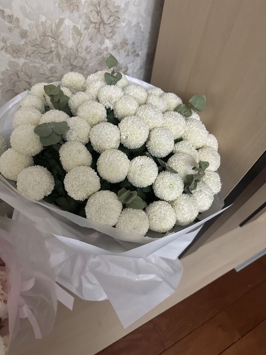 белые красивые цветы