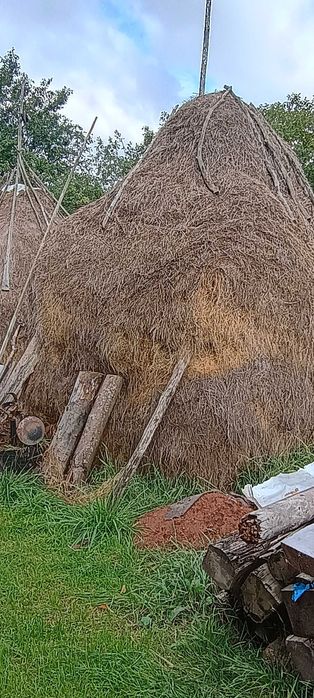 Căpițe de Fân de vânzare