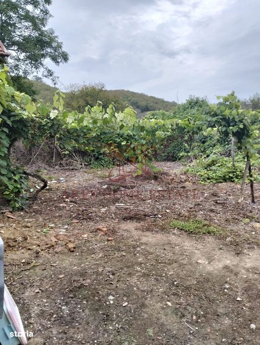 Casa spatioasa | 1500 mp teren - Ticvaniu Mare CS