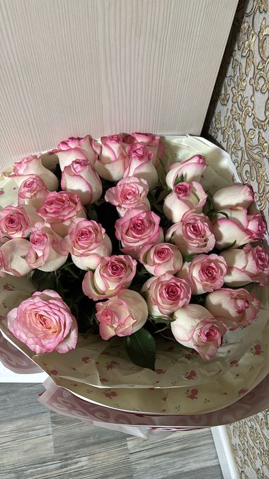 Роза 27 штук свежый