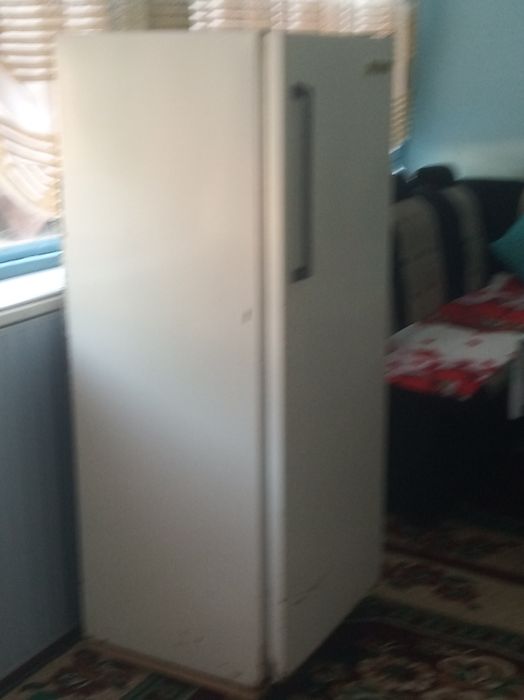 Muzlatgich naxt pulga