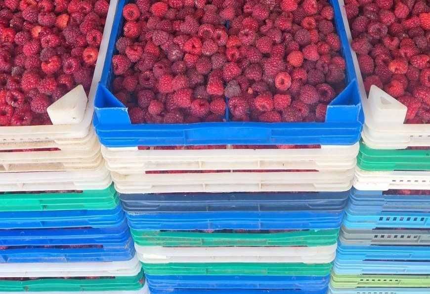 Продавам щайки/касетки за малини - разполагам с количество