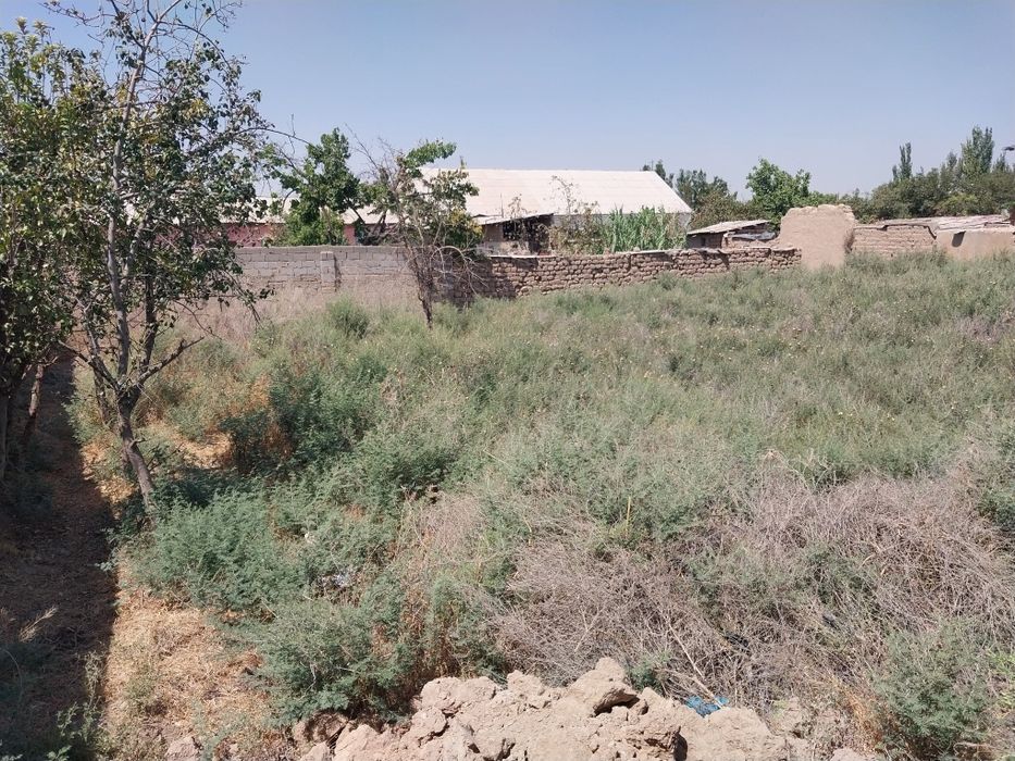 Ер сотилади 6 сутих