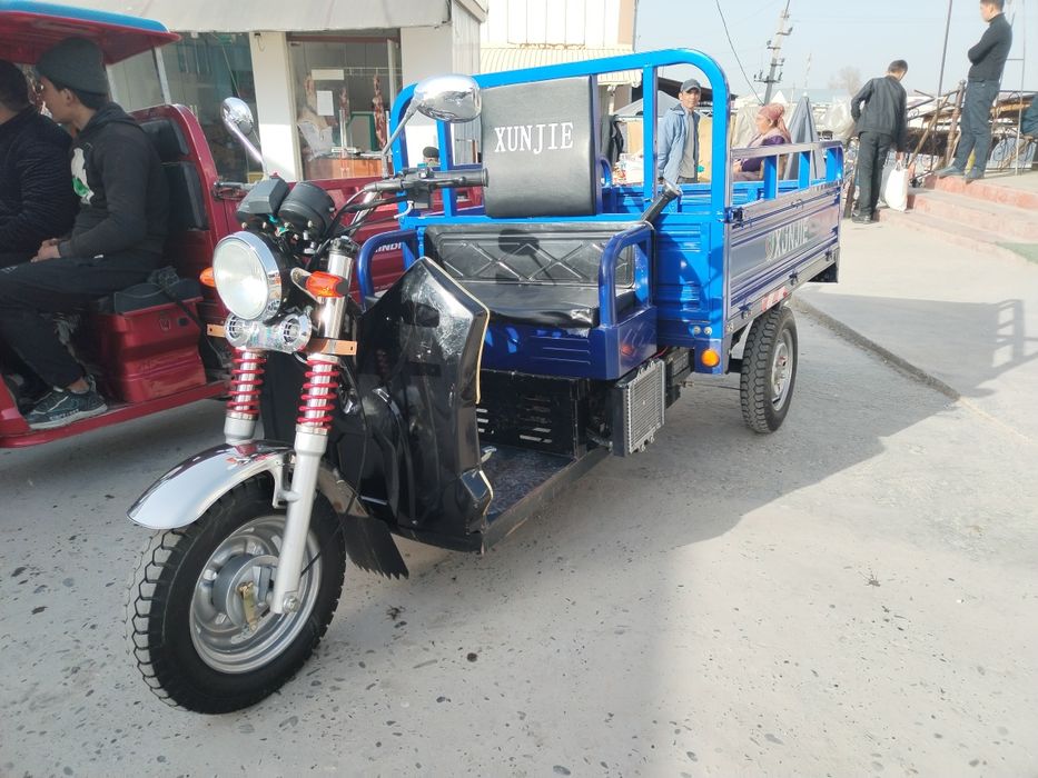 Муравей уч ойокли