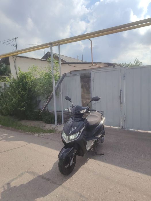 Мопед срочно продам
