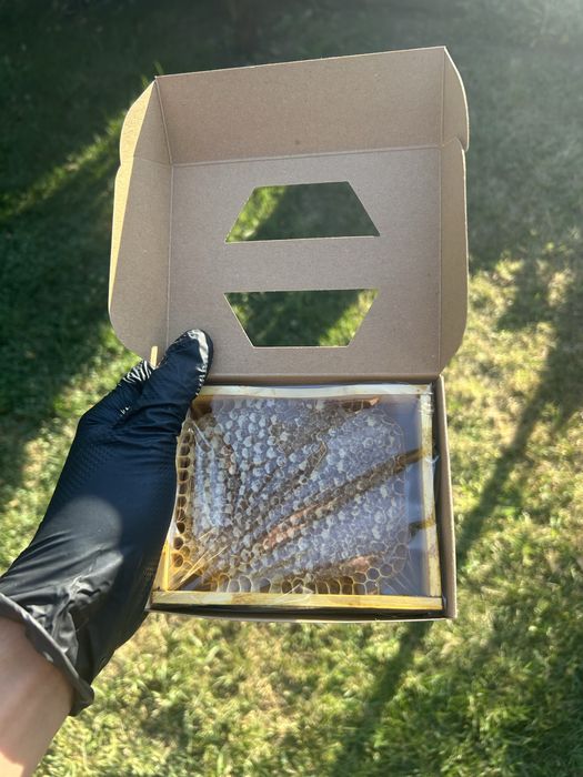 Мед,пчелен прашец ,пчелна рамка с мед - /ЛУКС/— /В БУРКАН/