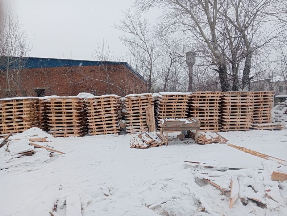 Продам   новые поддоны