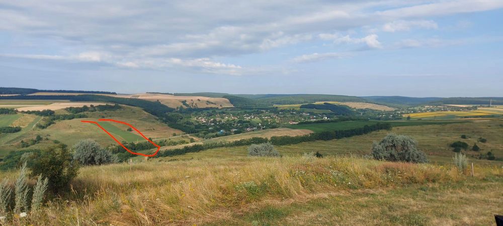 Teren extravilan lucernă