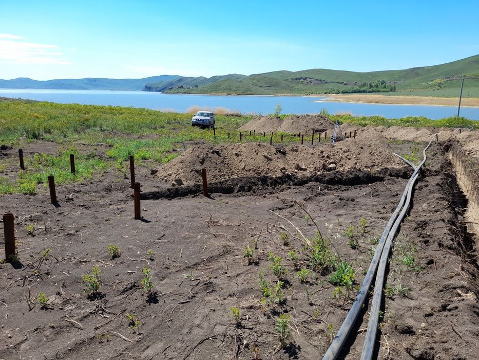 Сдам огород в аренду