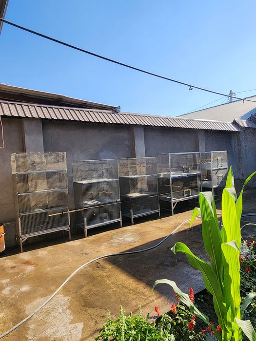 Клетки  для  попугай