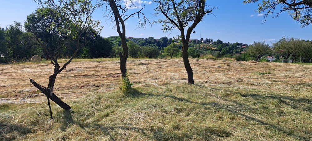 Teren intravilan 2100 mp Feleacu