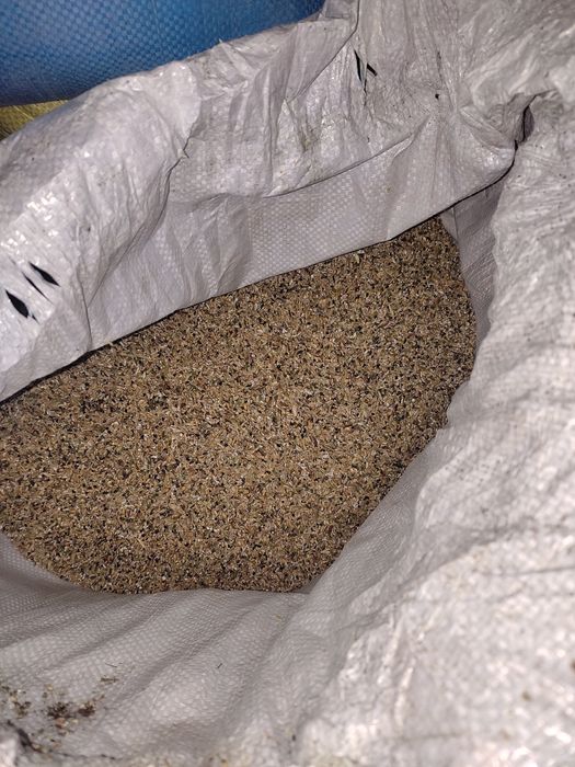 Sechka tozasi bugʻdoy maydalangani mikina sulu bugʻdoyli