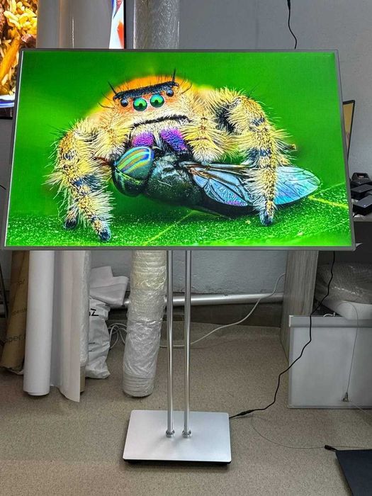 3D Foto Oboy 100.000 va Natyajnoy potolok 55.000 gulli