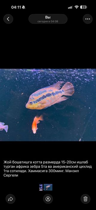 Срочно продам рыби на низкие цены для освобождения место