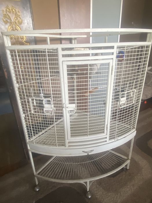 Продам какаду с клеткой