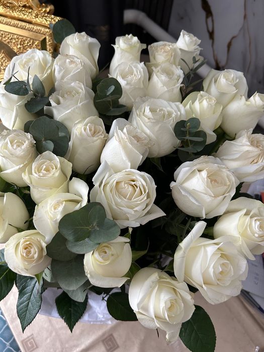 Розы в кашпо 30 шт