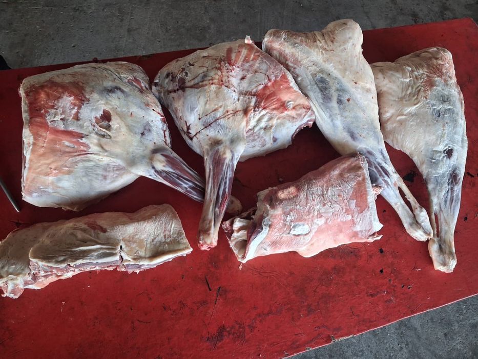 Продаю баранов на выбор