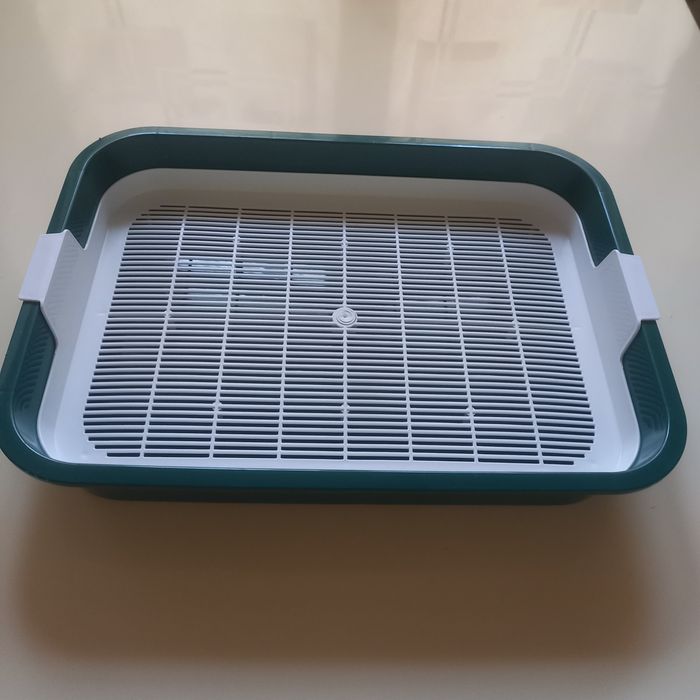 Лоток для маленьких котят