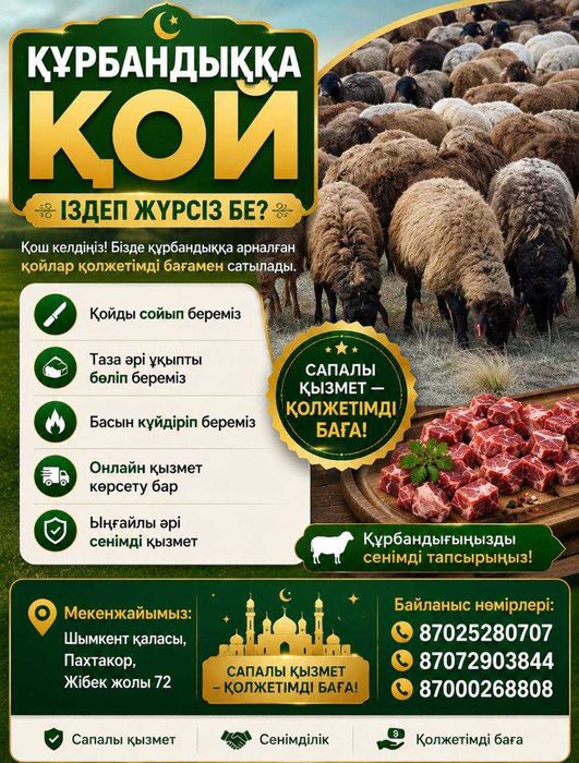 ҚҰРБАНДЫҚка кой - баран для Курбан Айт - от