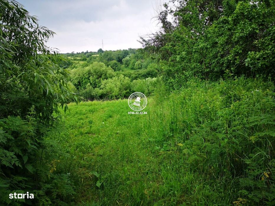 Teren intravilan - 2980mp - de vanzare in Carbunari, Grajduri