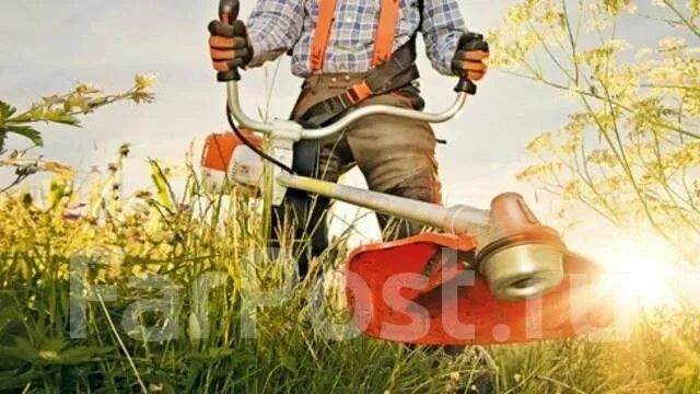 Покос травы на выходных