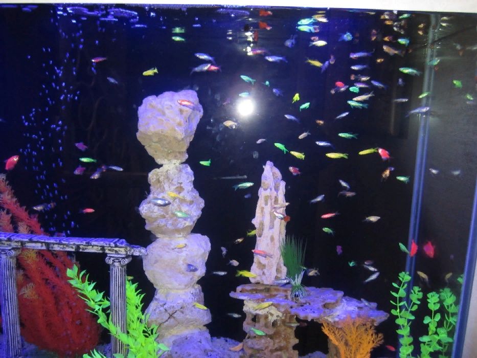 аквариум на заказ