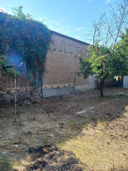 Zangiota bogzor kochasi 6 sotu yer sotiladi 2 xona uyi bilan srocna